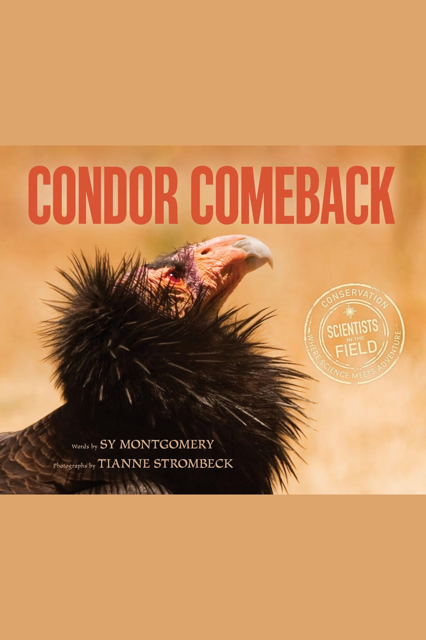 Condor Comeback: Lead, Blood Tests, and 27 Birds