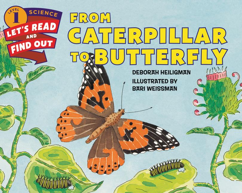 From Caterpillar to Butterfly: Four Lives in One
