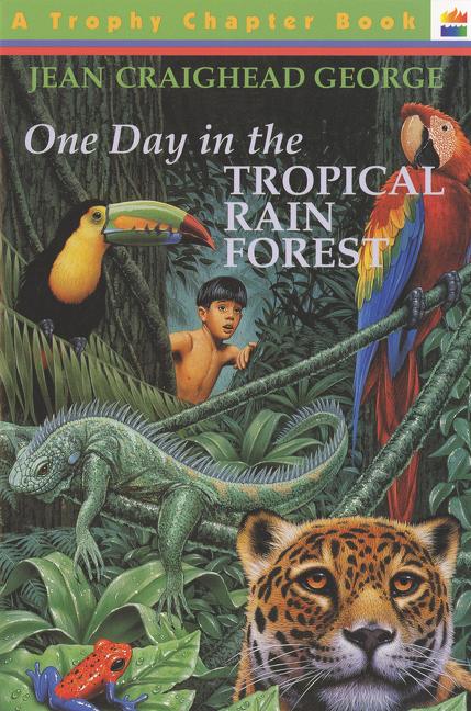 One Day in the Rain Forest: Everything Is Connected