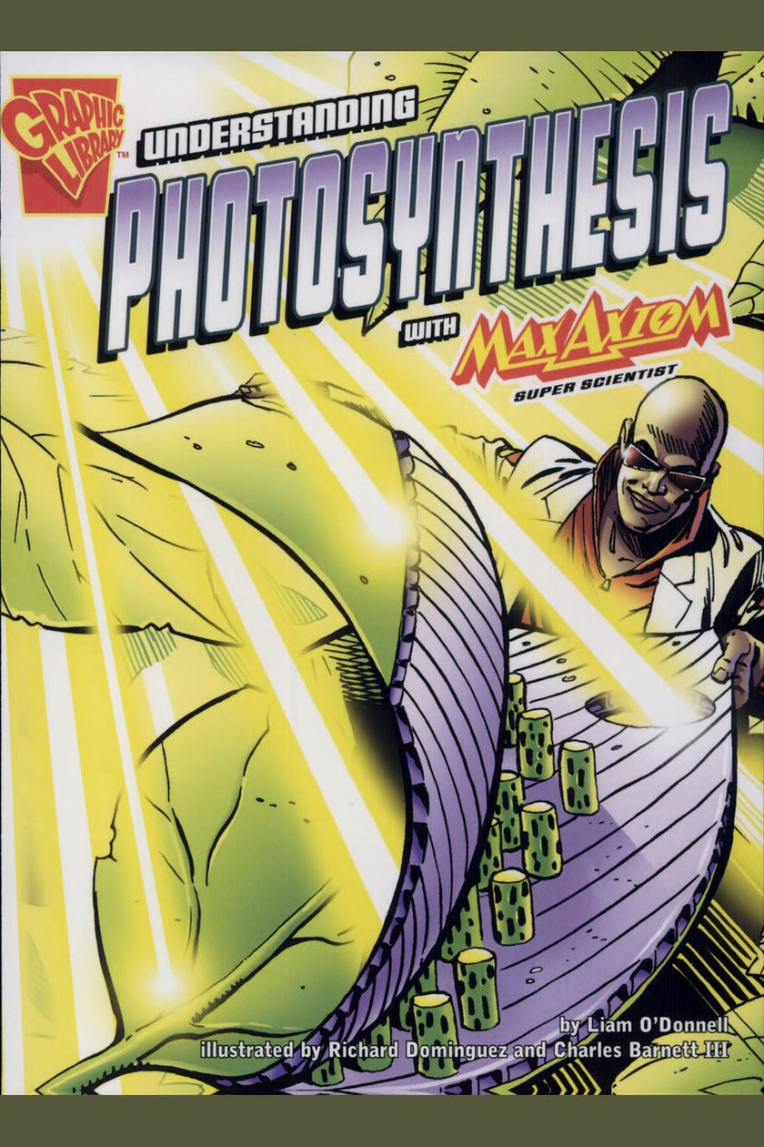 Understanding Photosynthesis: The One That Fits the Format