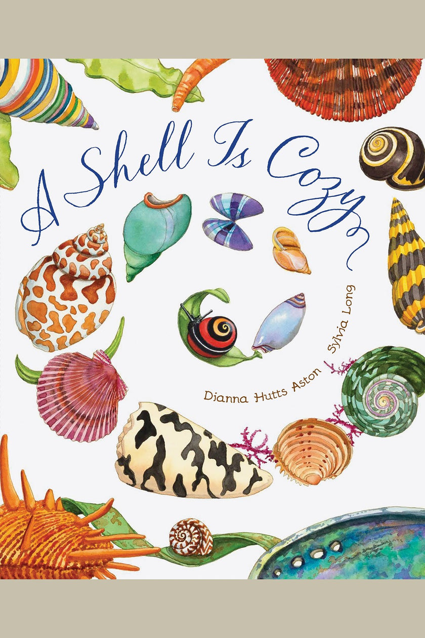 A Shell Is Cozy