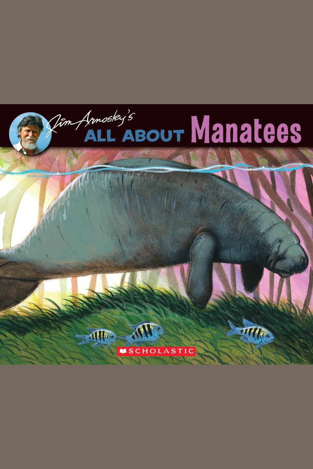 All about Manatees