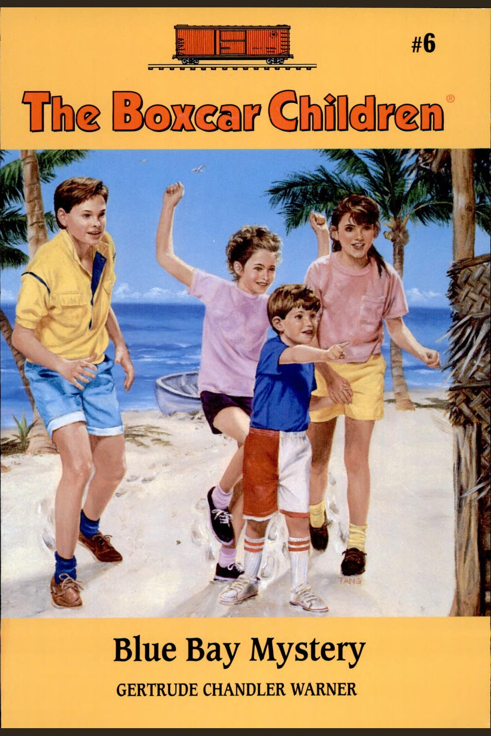 Blue Bay Mystery (The Boxcar Children #6)