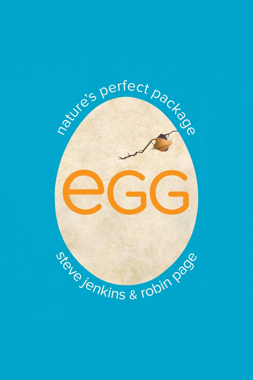 Egg: Nature's Perfect Package