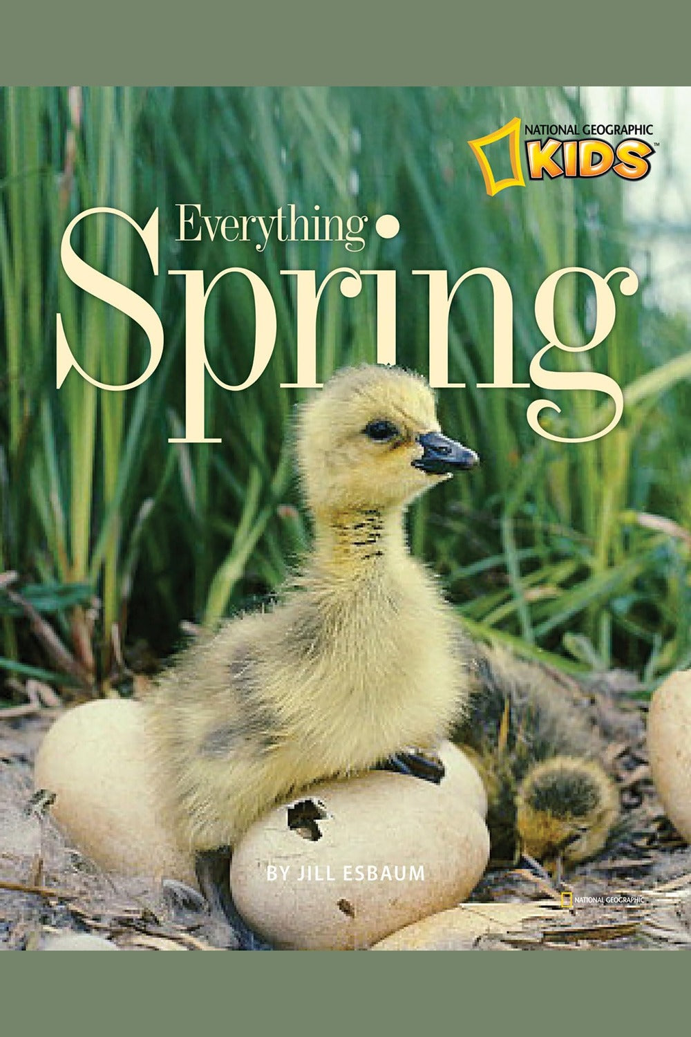 Everything Spring