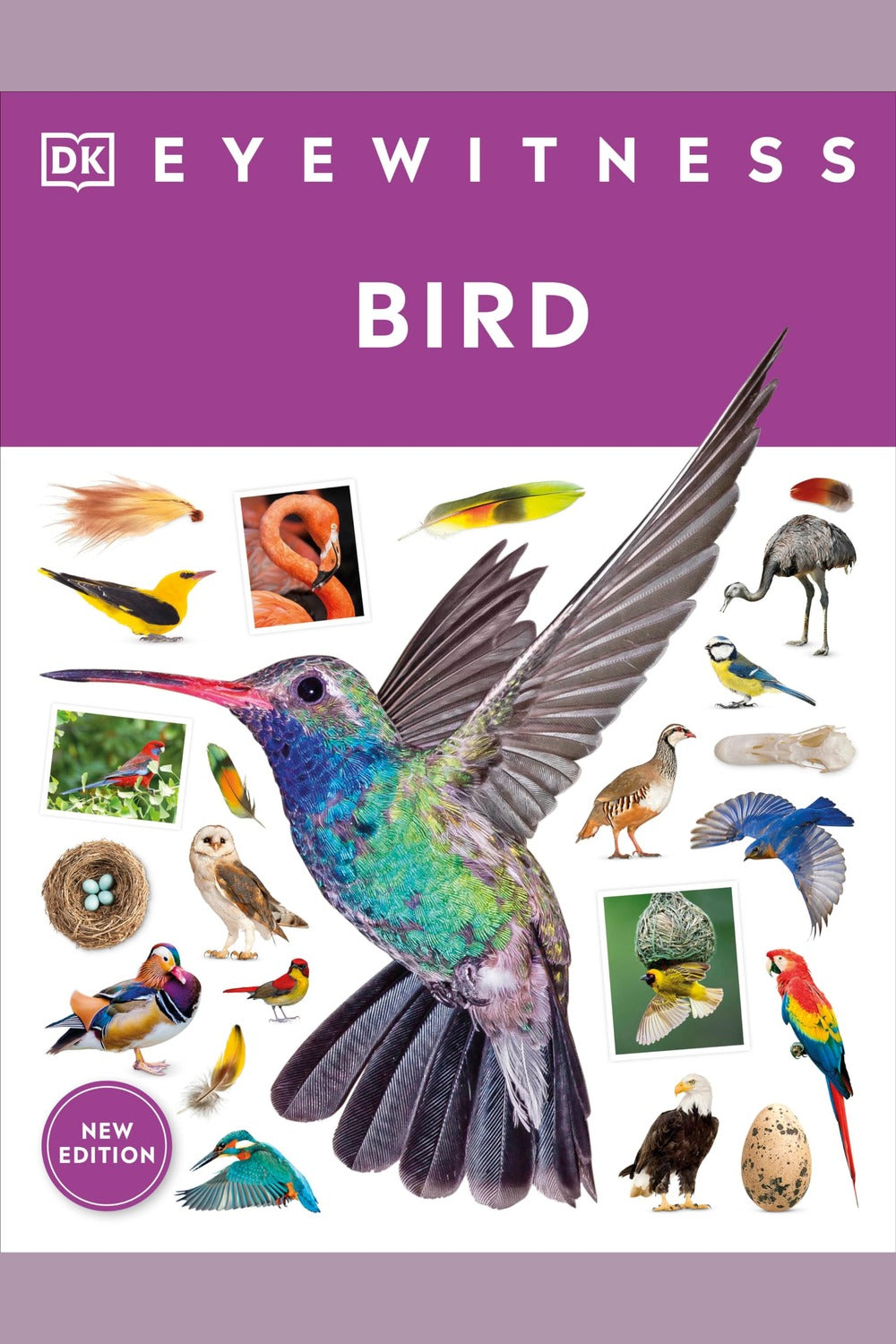 Eyewitness Bird