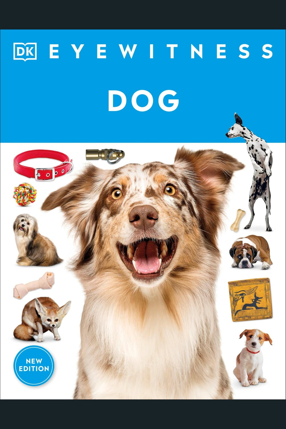 Eyewitness Dog