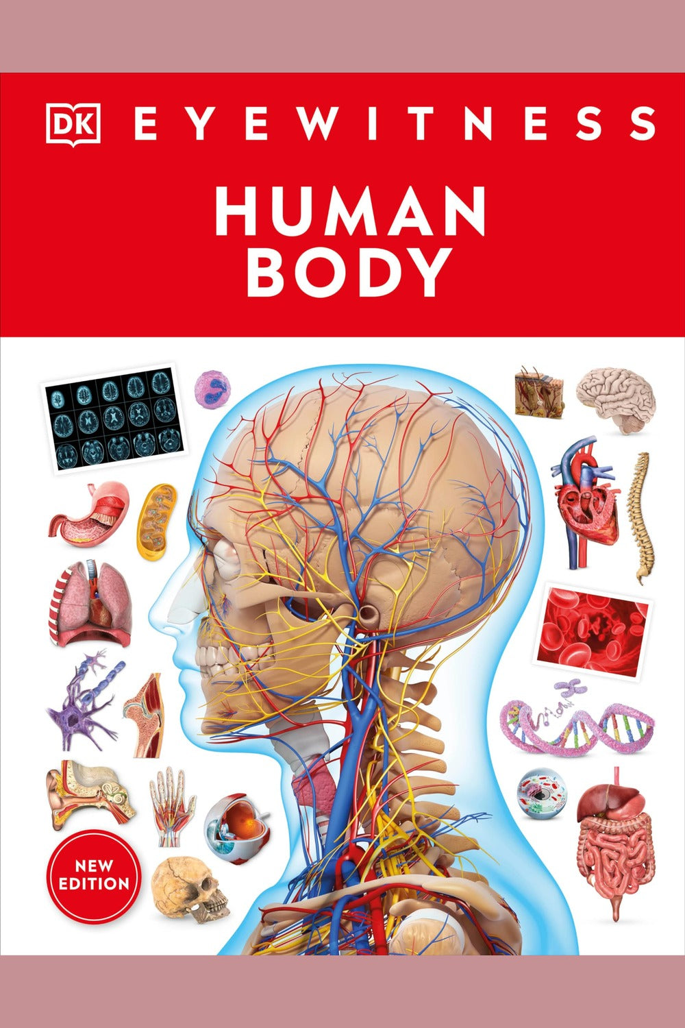 Eyewitness Human Body