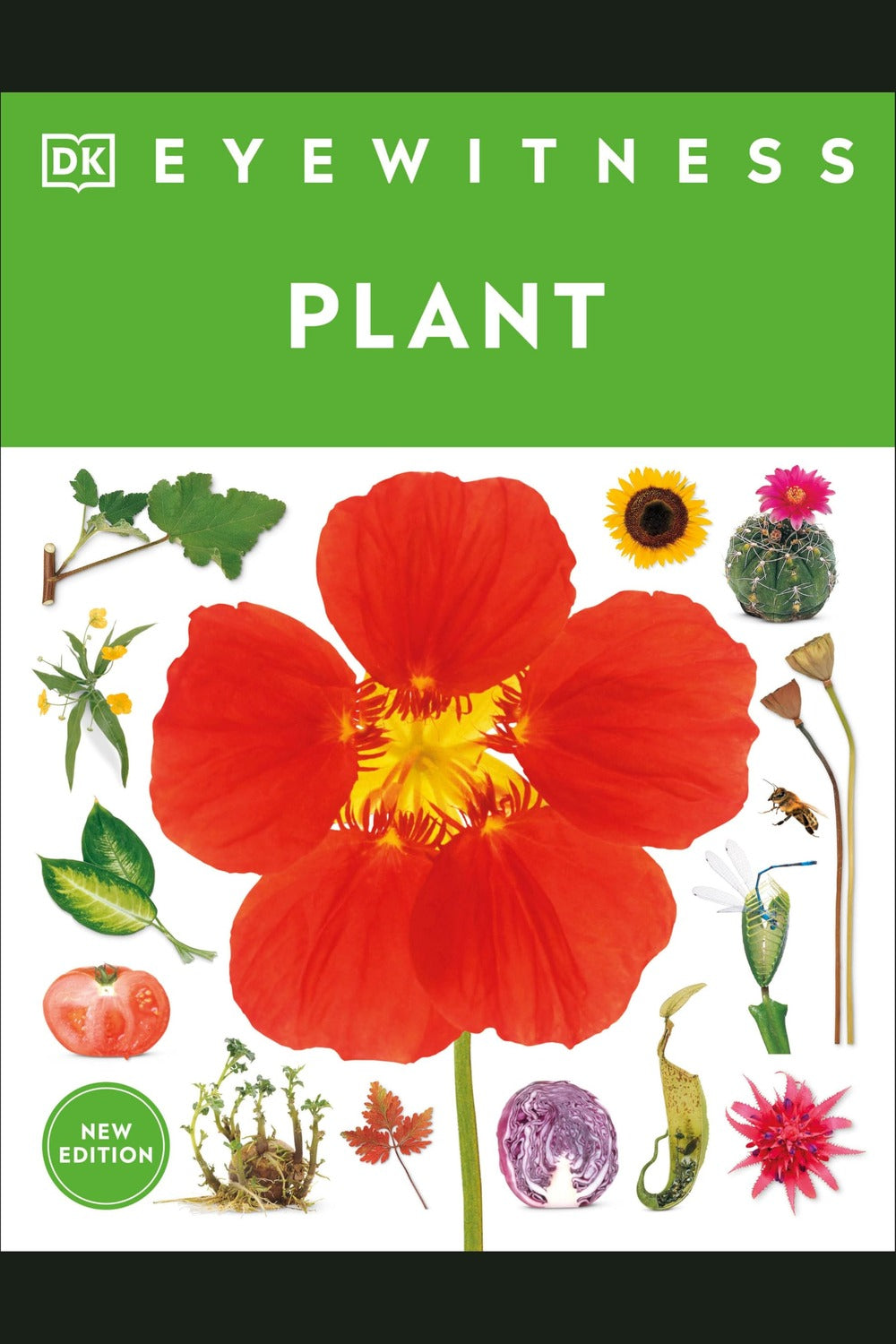 Eyewitness Plant