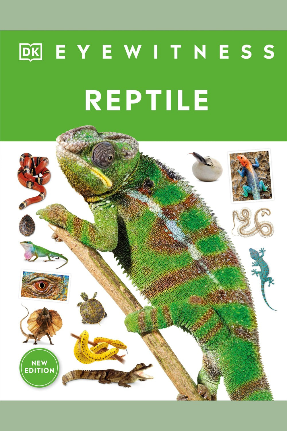 Eyewitness Reptile