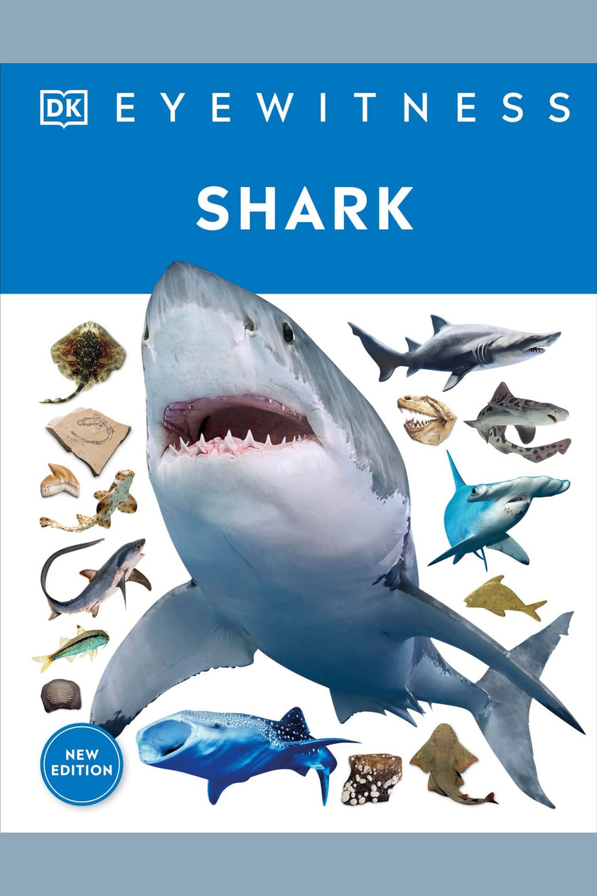 Eyewitness Shark: Dive Into the Fascinating World of Sharks