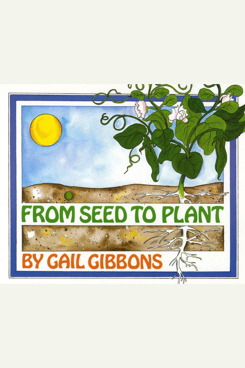From Seed to Plant