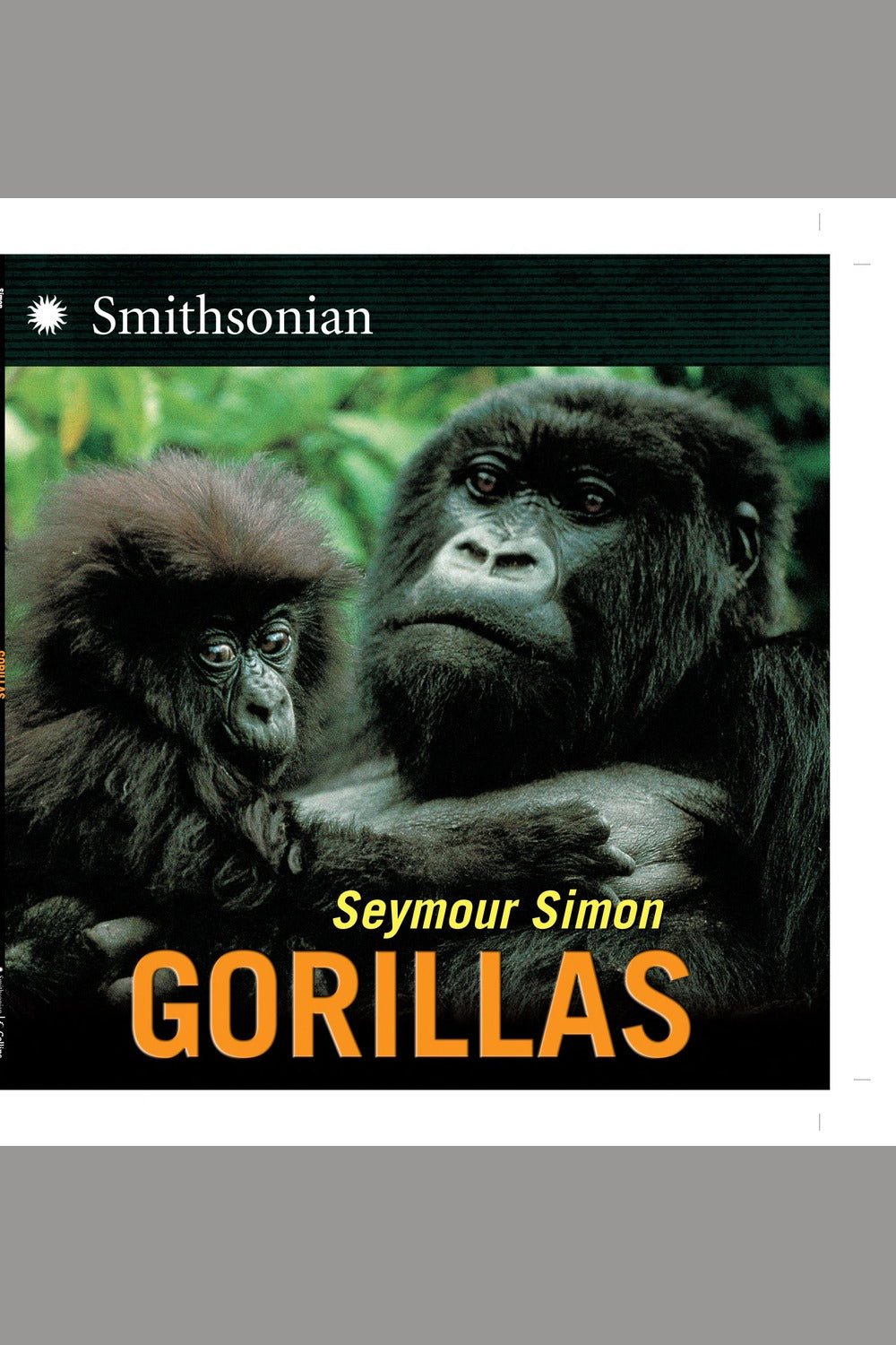 Gorillas