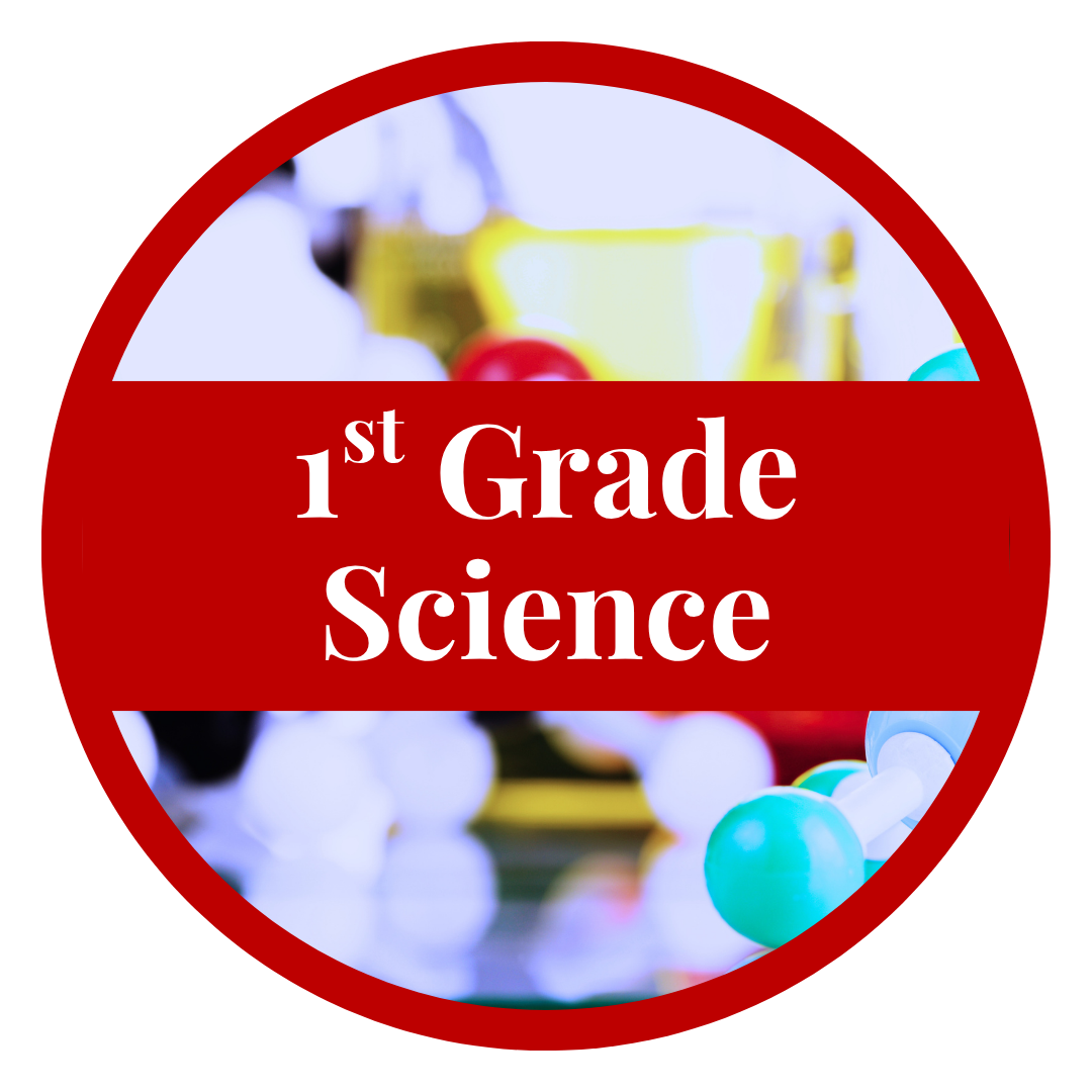 First Grade Science – Online Course Access