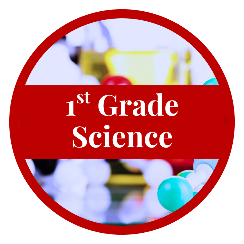 First Grade Science – Online Course Access