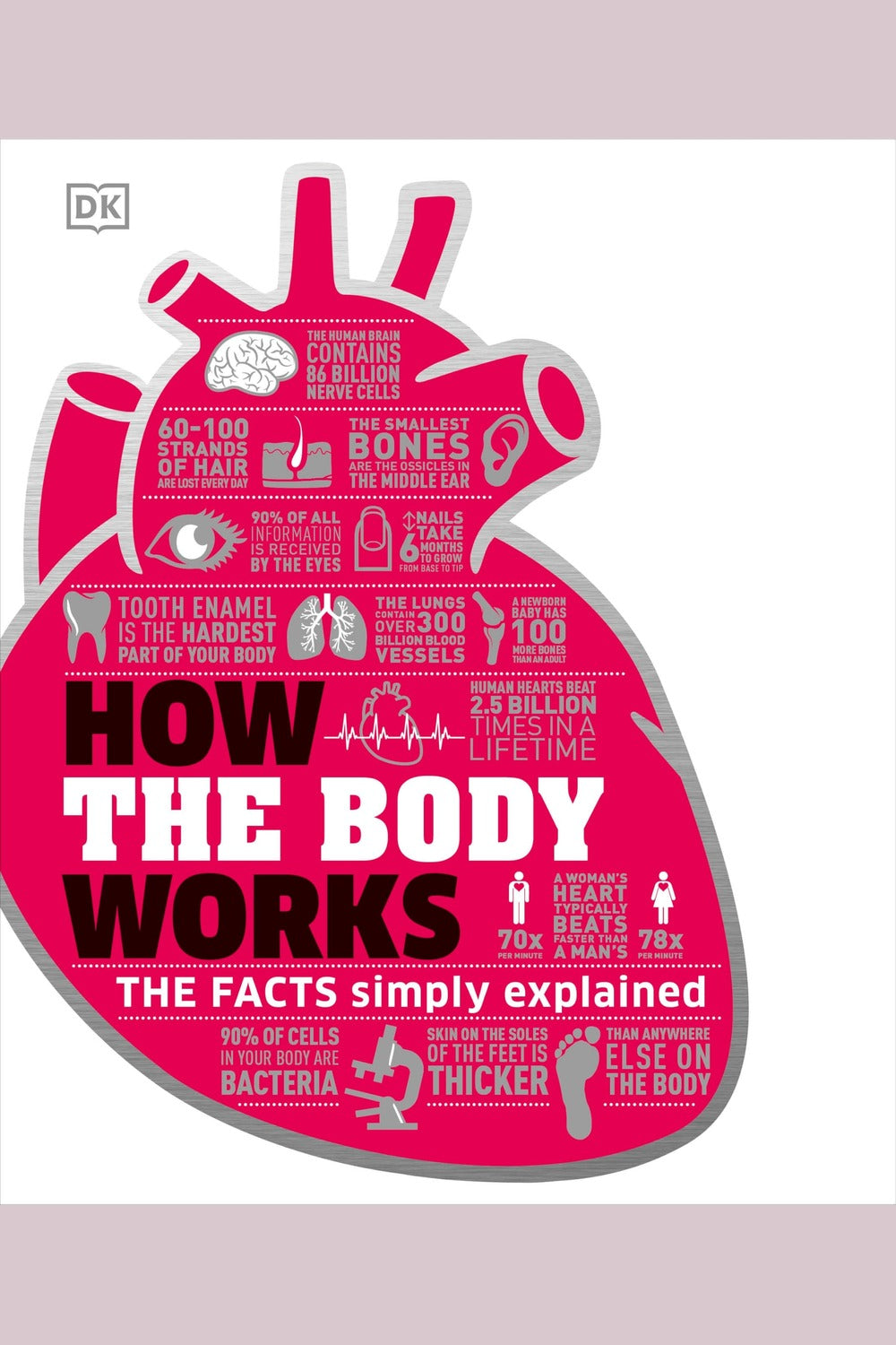 How the Body Works: The Facts Simply Explained