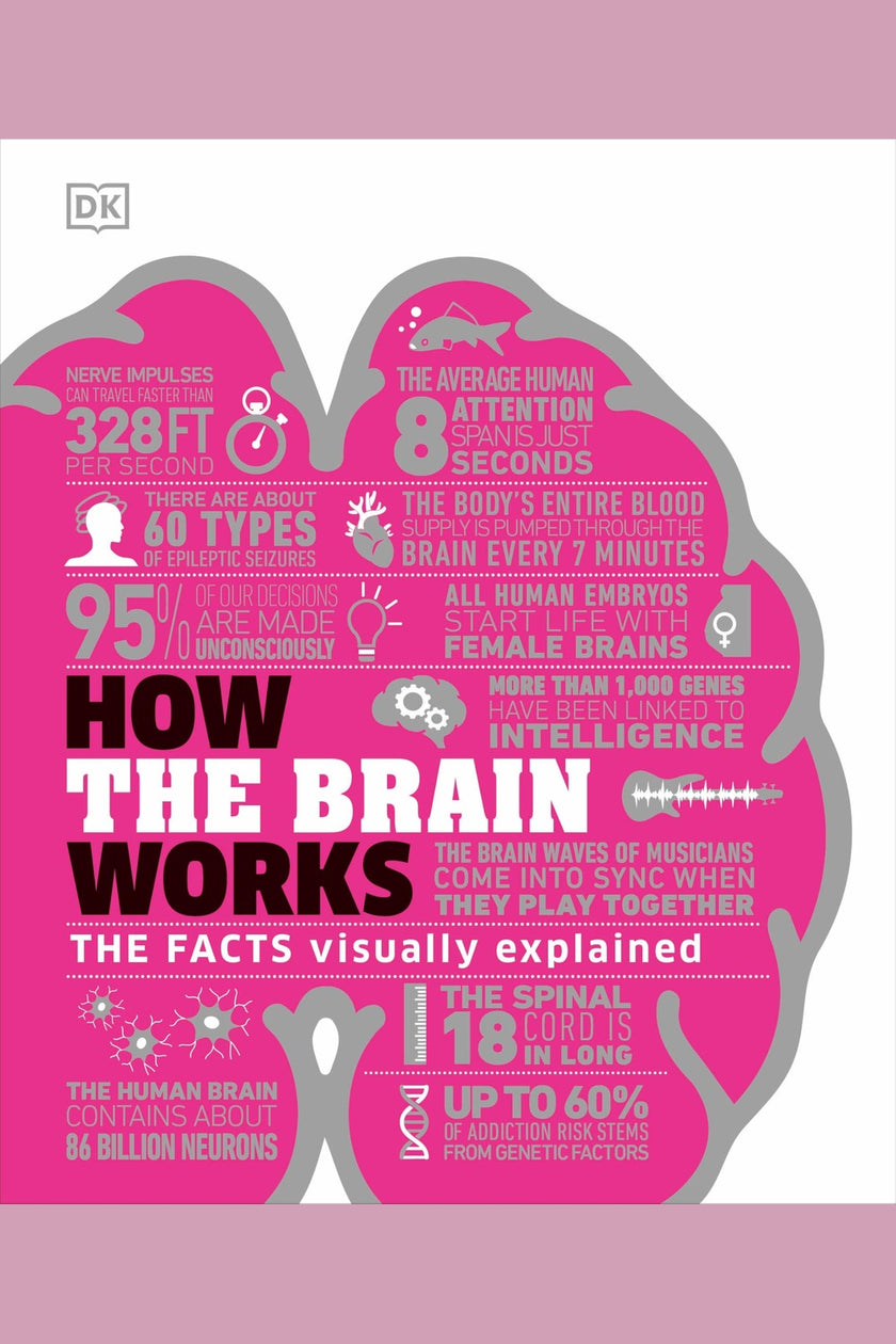 How the Brain Works: The Facts Visually Explained