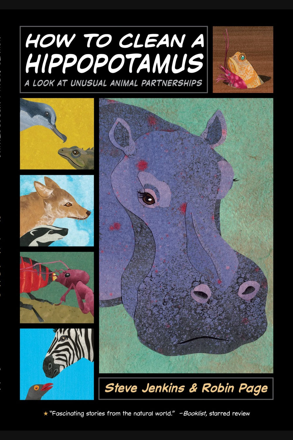 How to Clean a Hippopotamus: A Look at Unusual Animal Partnerships