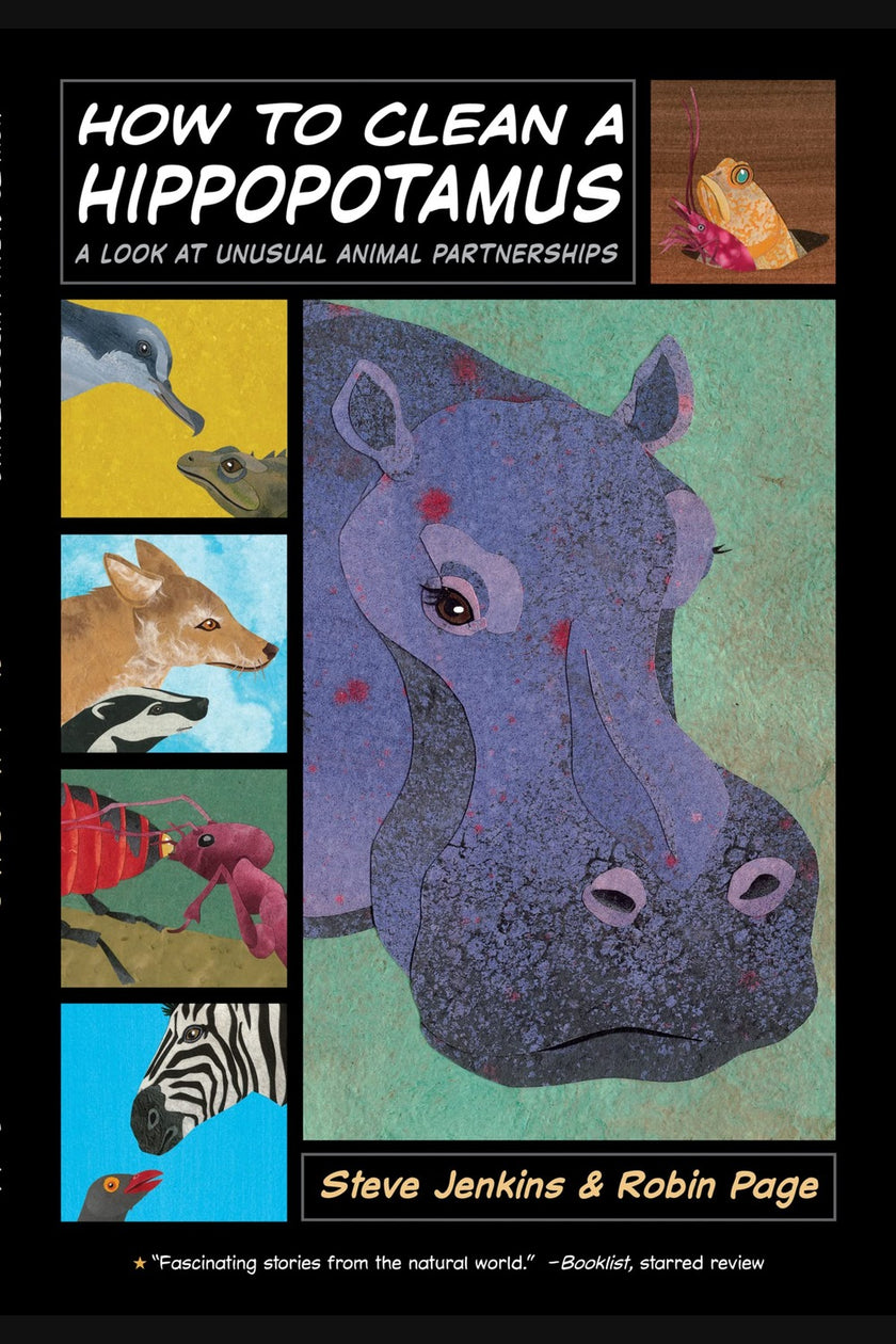 How to Clean a Hippopotamus: A Look at Unusual Animal Partnerships