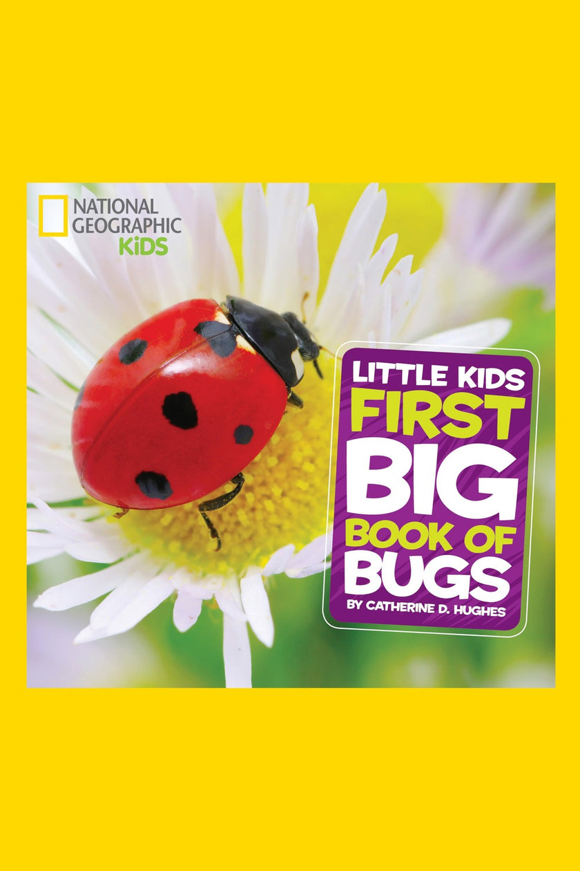 Little Kids First Big Book of Bugs
