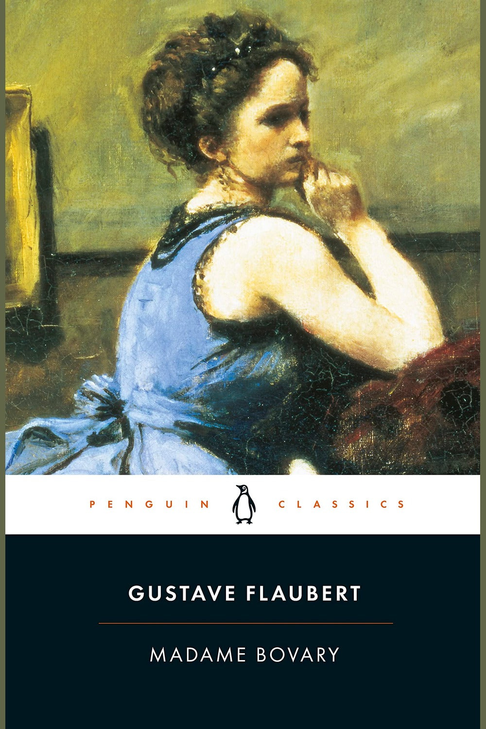 Madame Bovary: Provincial Lives