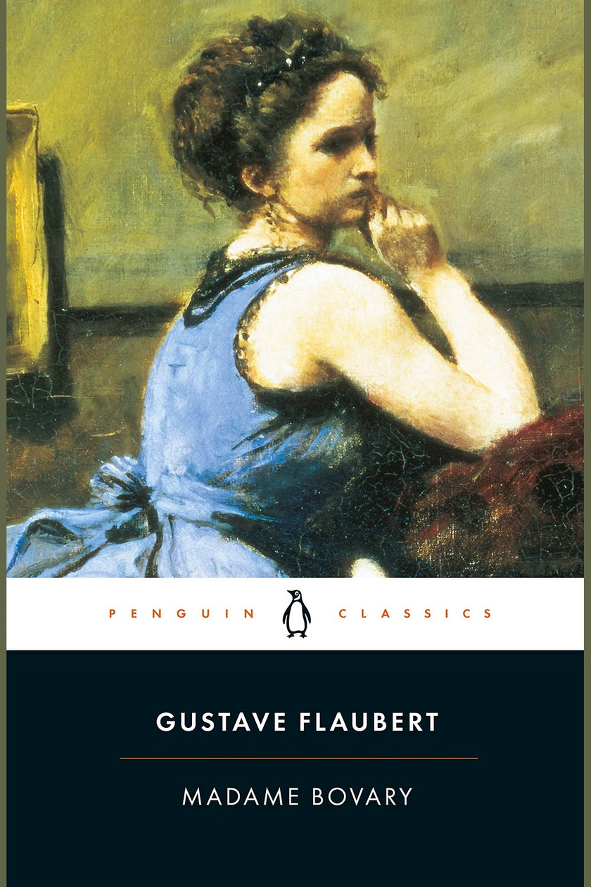 Madame Bovary: Provincial Lives