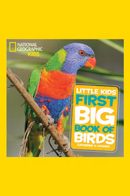 National Geographic Little Kids First Big Book of Birds