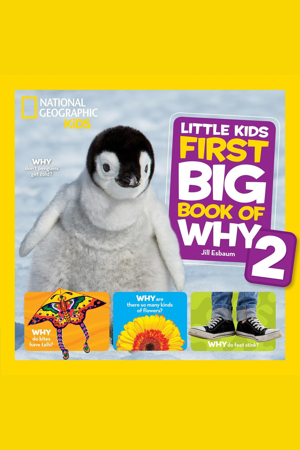 National Geographic Little Kids First Big Book of Why 2: More Questions and Answers about the World for Curiou