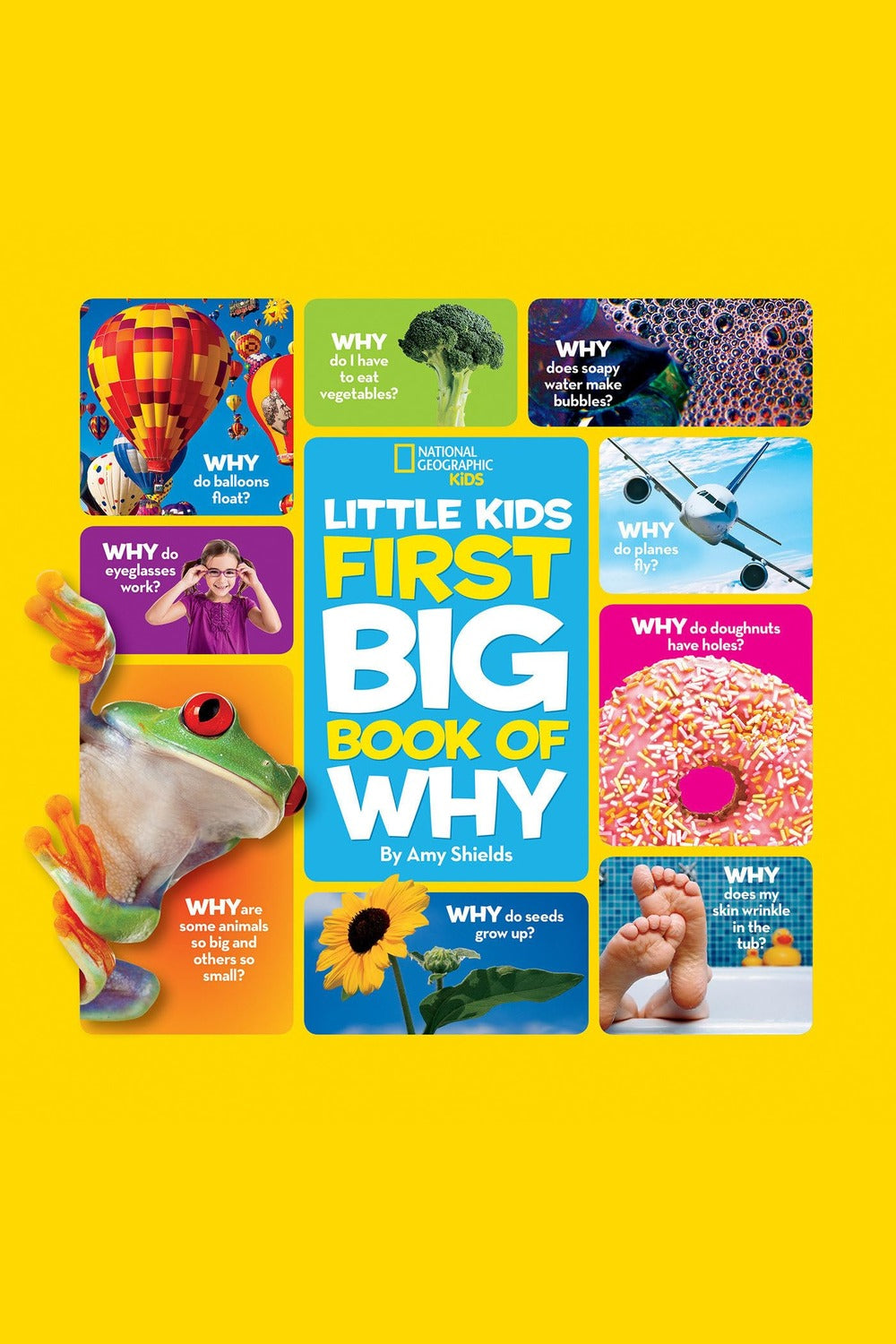 National Geographic Little Kids First Big Book of Why: Questions and Answers about the World for Curious Kids