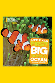 National Geographic Little Kids First Big Book of the Ocean