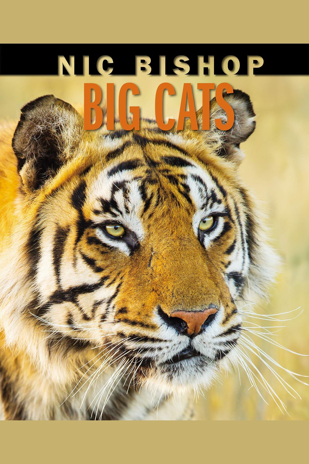 Nic Bishop Big Cats