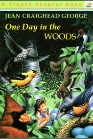 One Day in the Woods