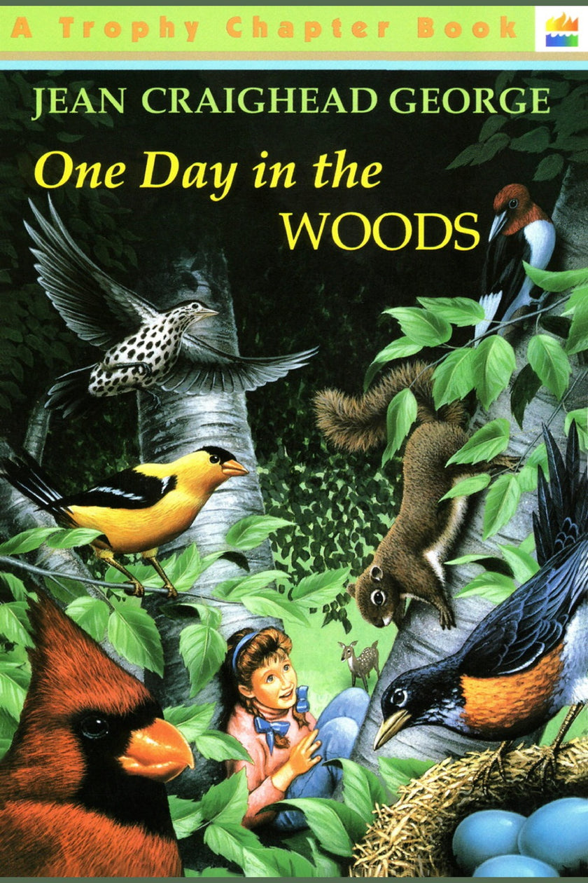 One Day in the Woods