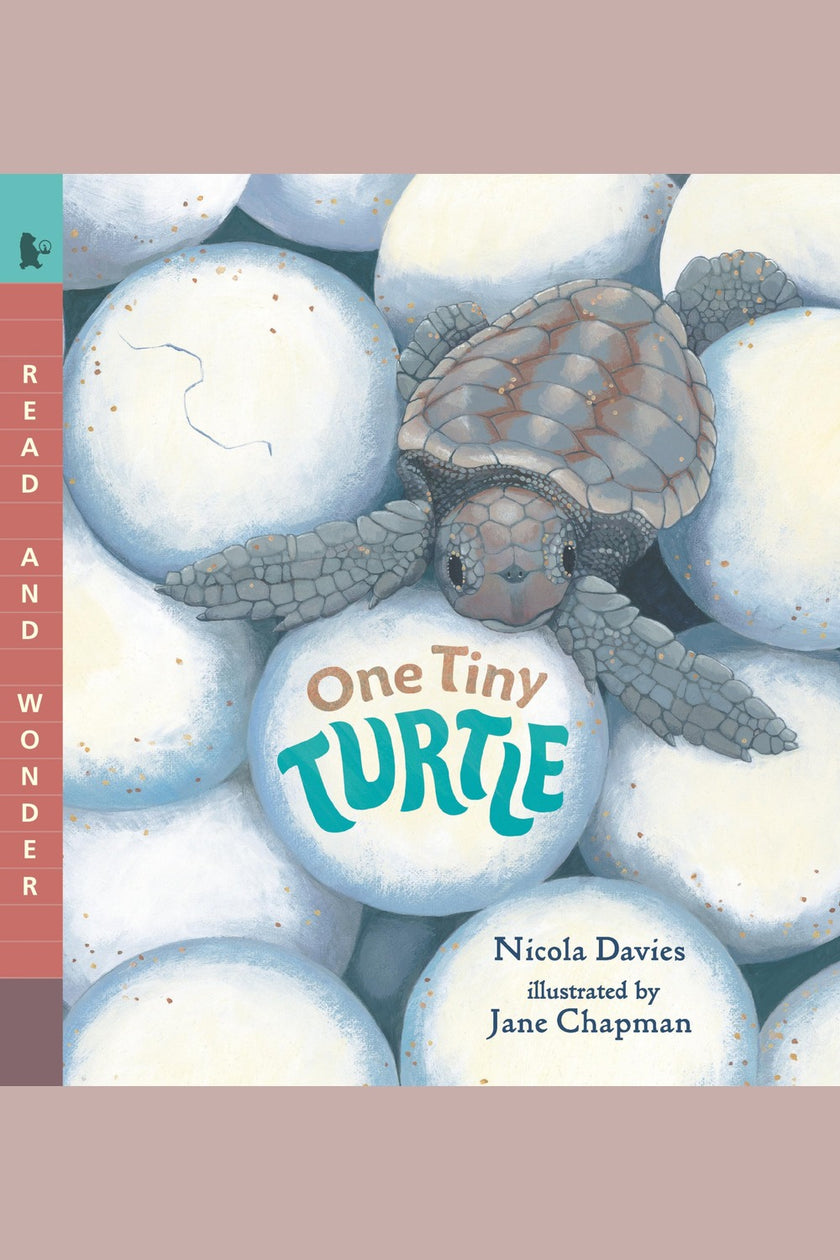 One Tiny Turtle: Read and Wonder