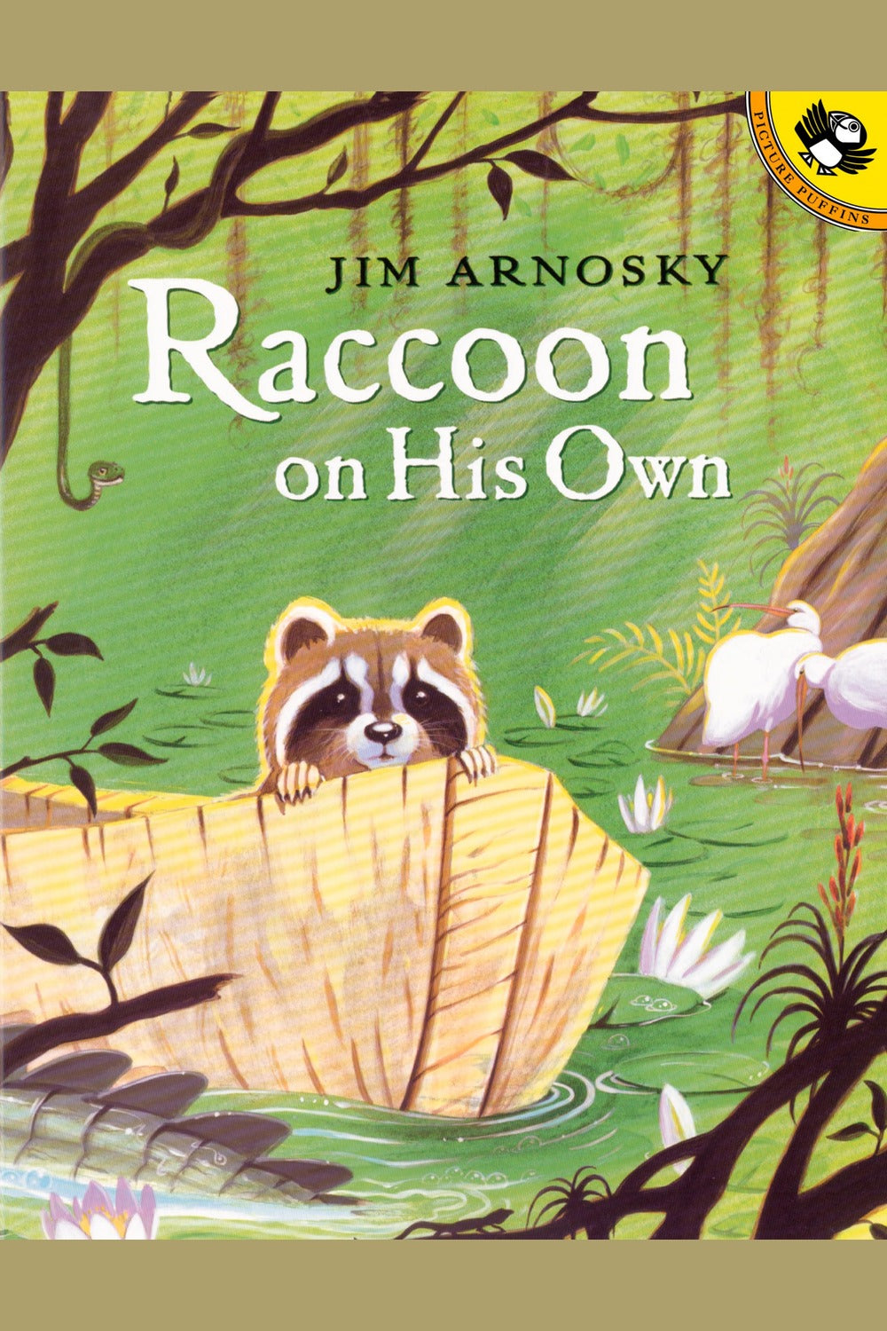 Raccoon on His Own