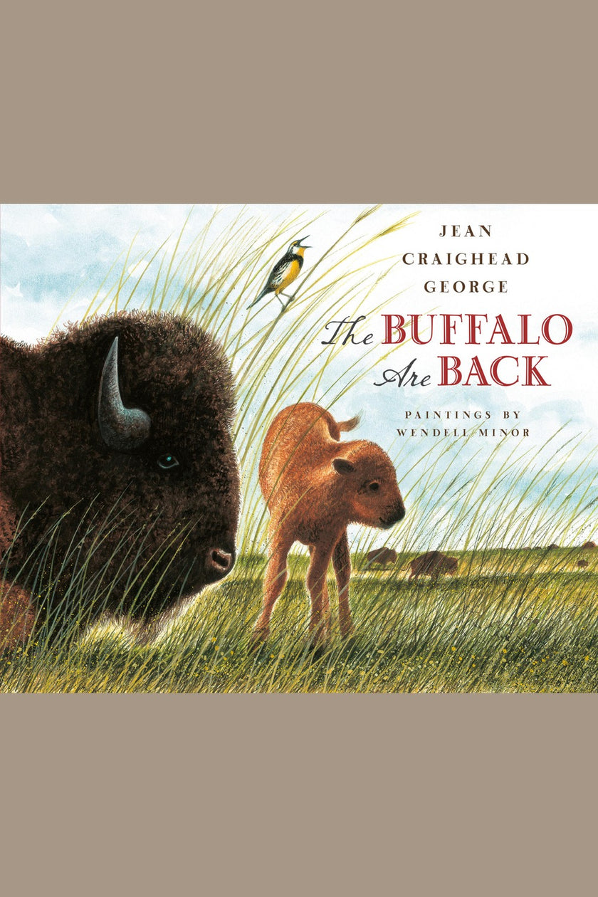 The Buffalo Are Back