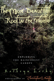 The Most Beautiful Roof in the World: Exploring the Rainforest Canopy