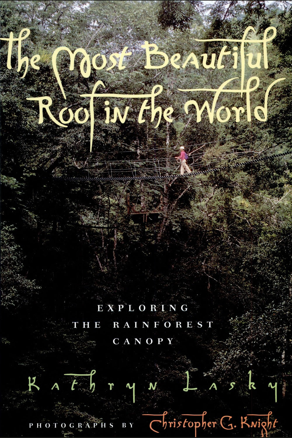 The Most Beautiful Roof in the World: Exploring the Rainforest Canopy
