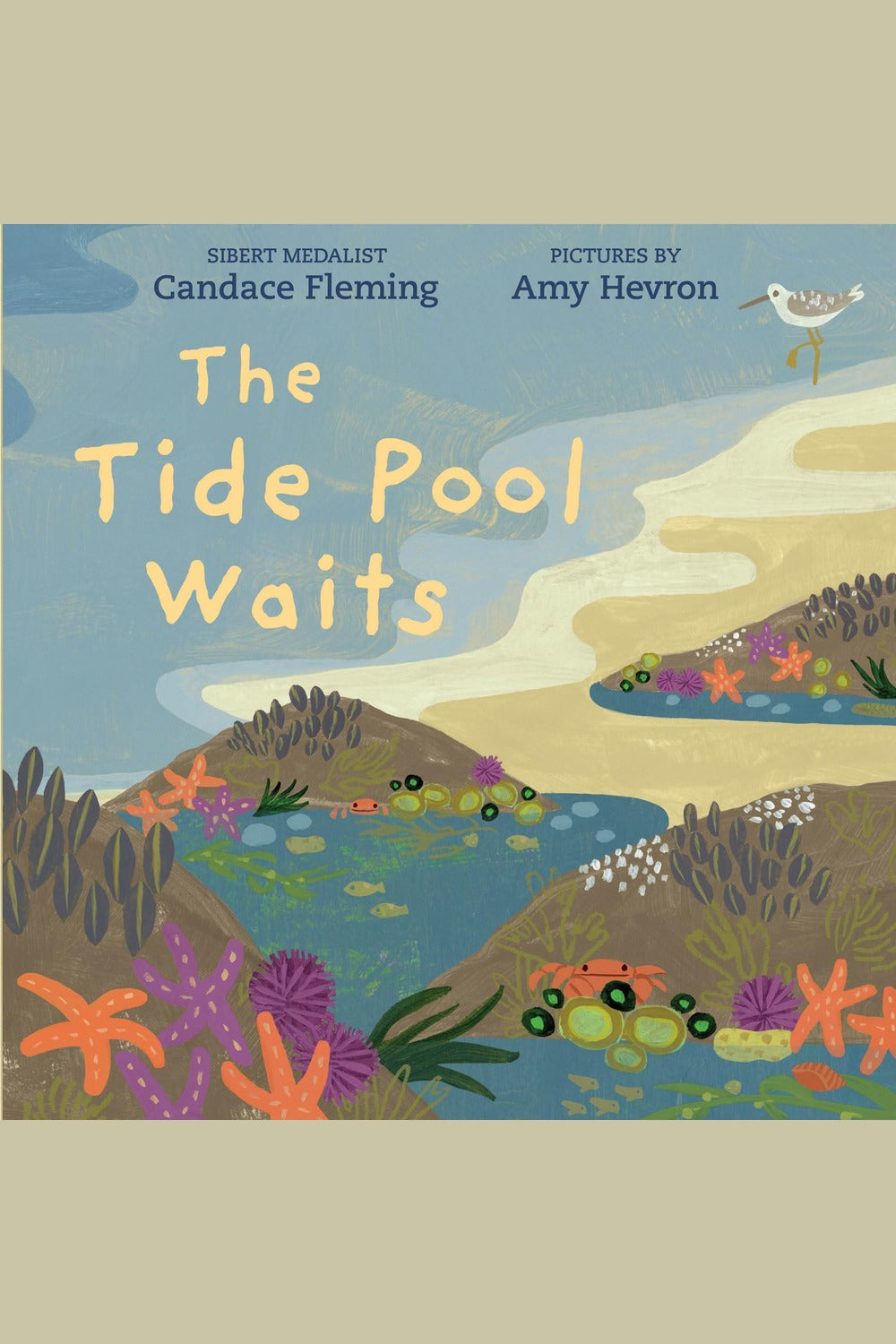The Tide Pool Waits