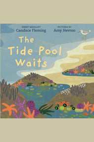 The Tide Pool Waits