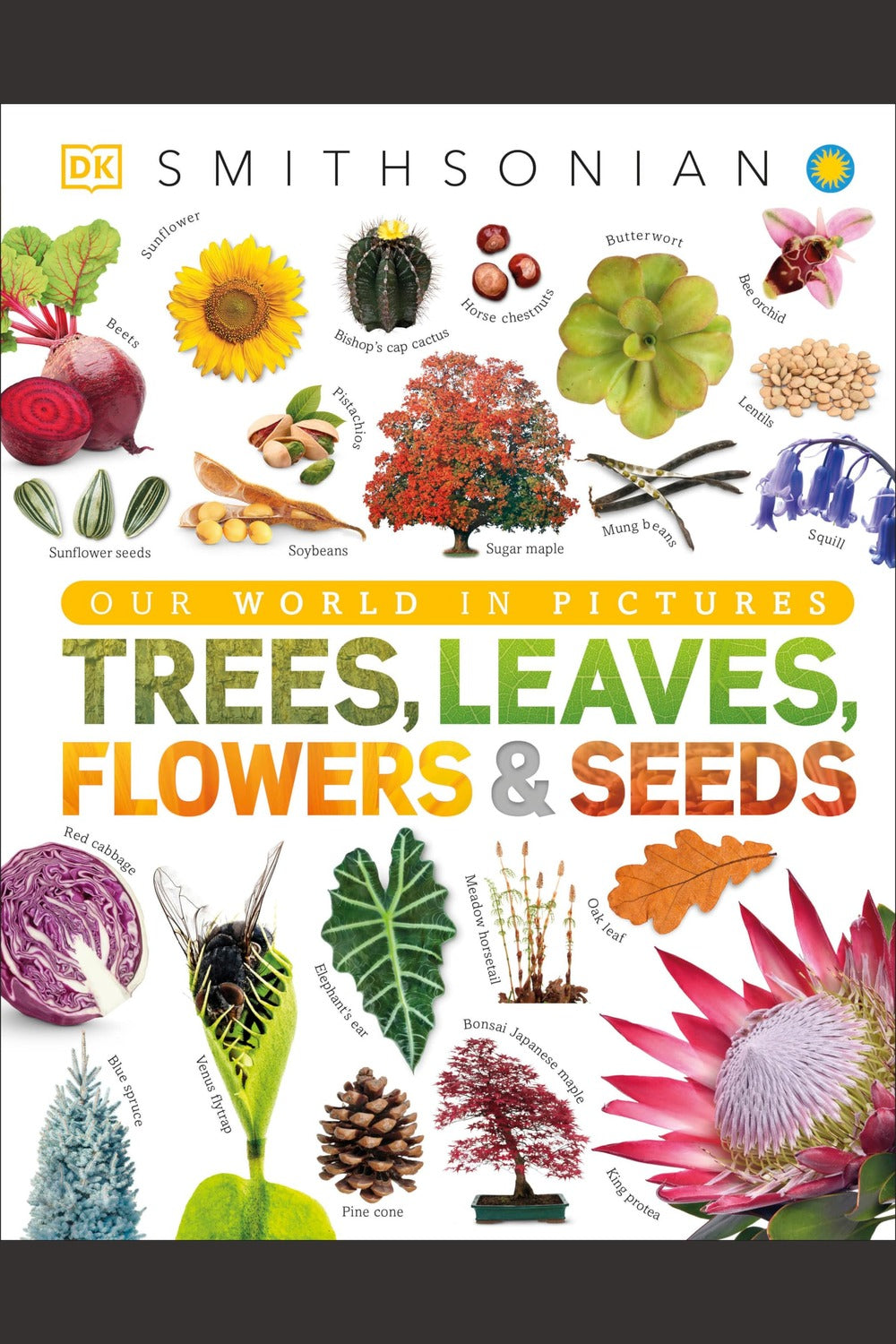 Trees, Leaves, Flowers & Seeds: A Visual Plant Encyclopedia for Kids
