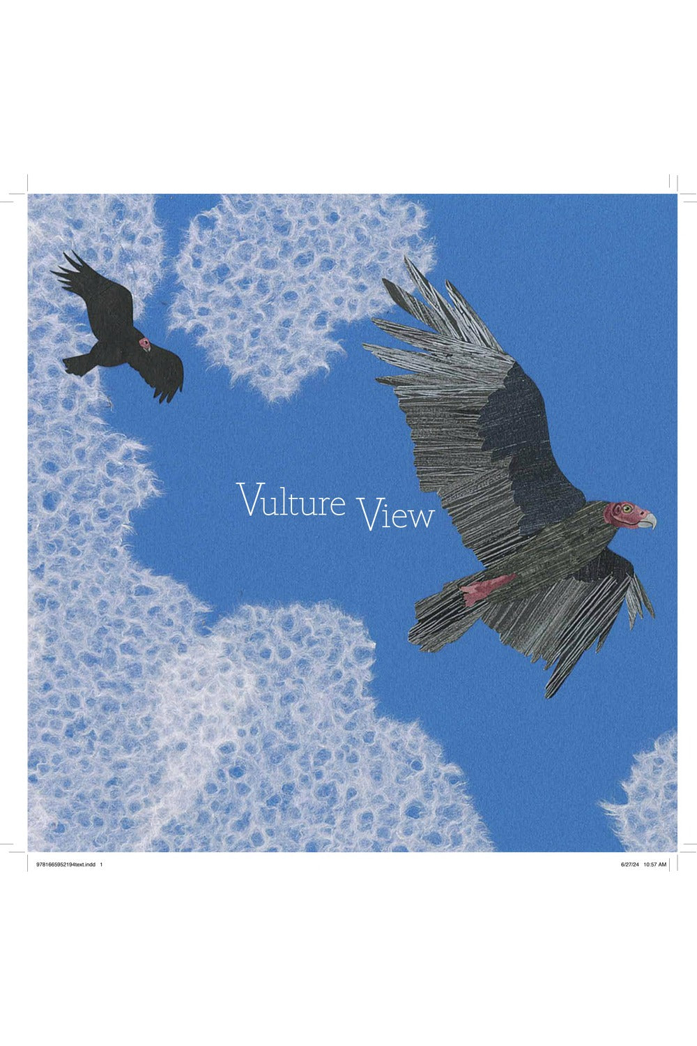 Vulture View