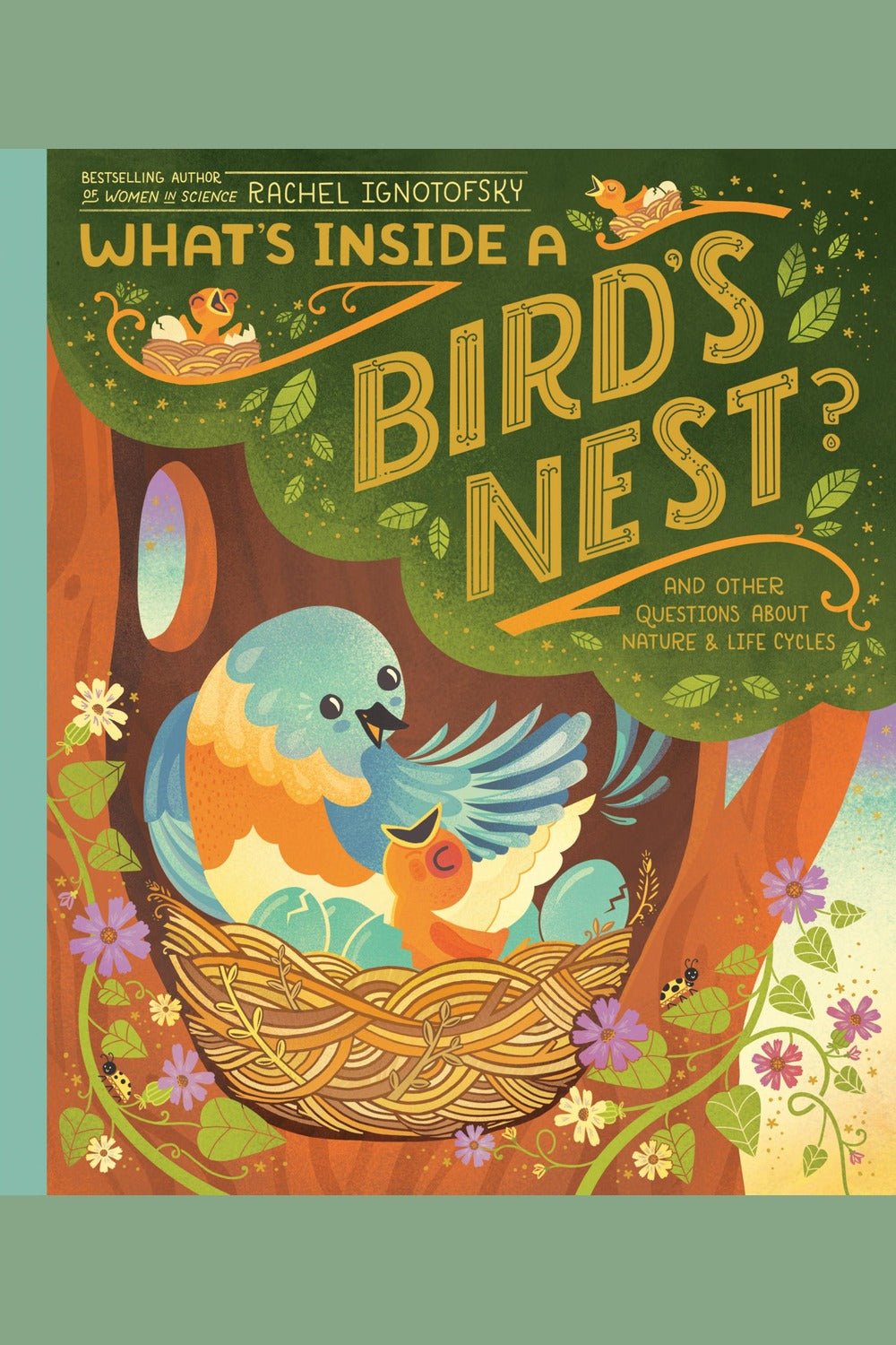 What's Inside a Bird's Nest?: And Other Questions about Nature & Life Cycles