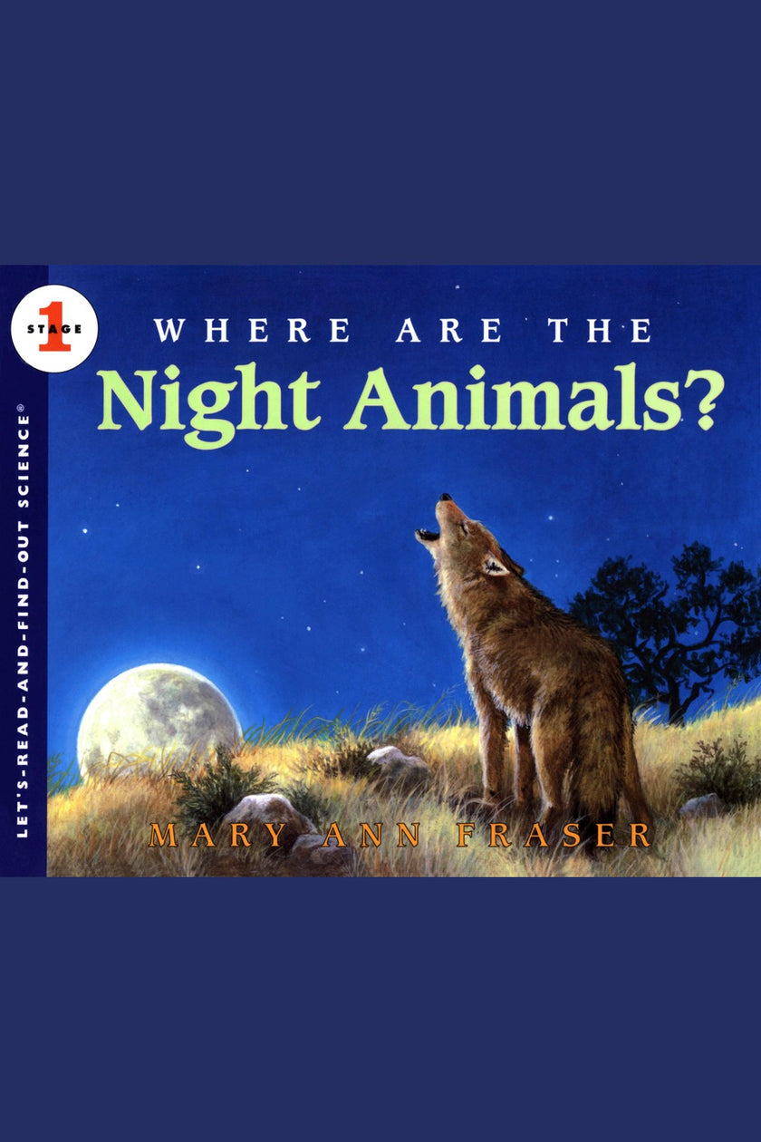 Where Are the Night Animals?