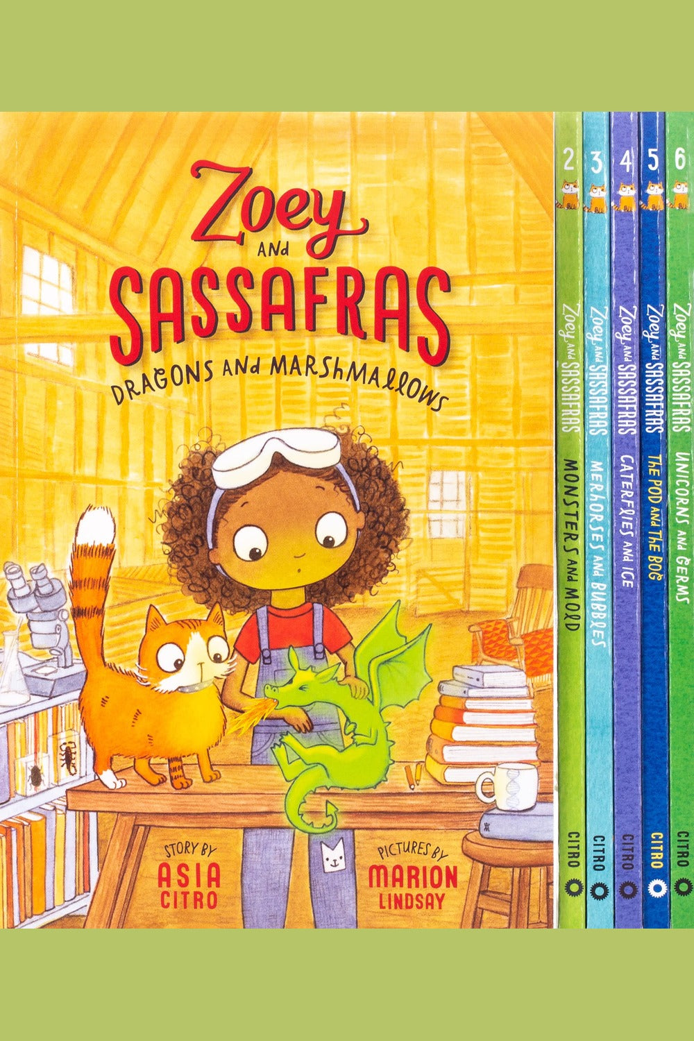 Zoey and Sassafras Books 1-6 Pack