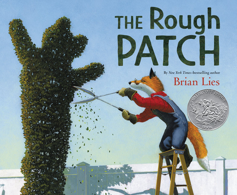 The Rough Patch: A Caldecott Honor Award Winner - Ingram