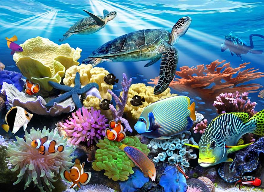 Ocean Turtles: 200-Piece Jigsaw Puzzle