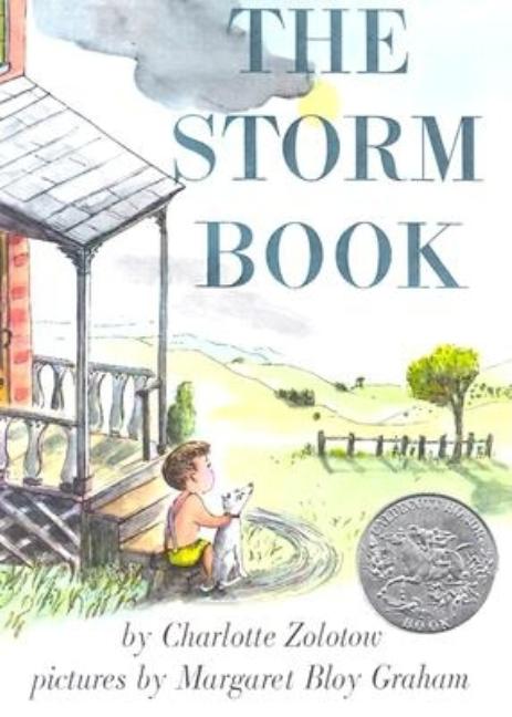 The Storm Book: A Caldecott Honor Award Winner - Ingram